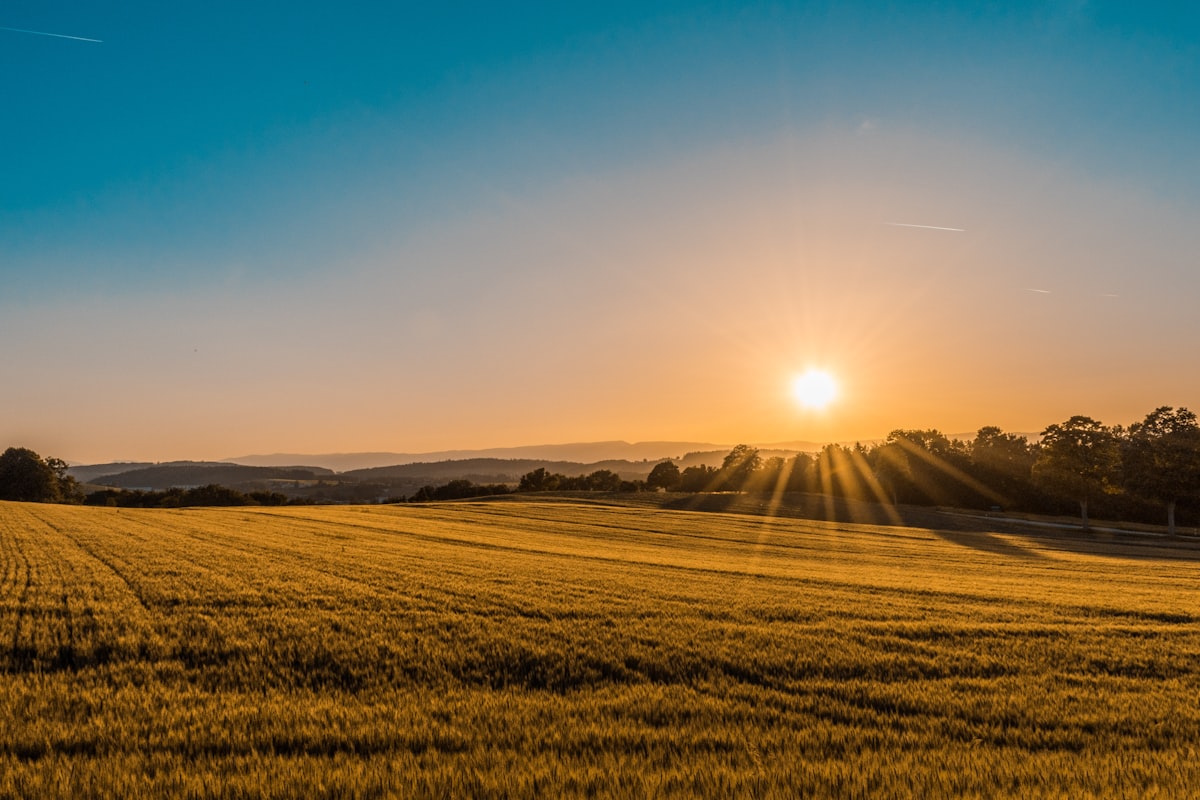 Agriculture 5.0: the future of the Spanish countryside