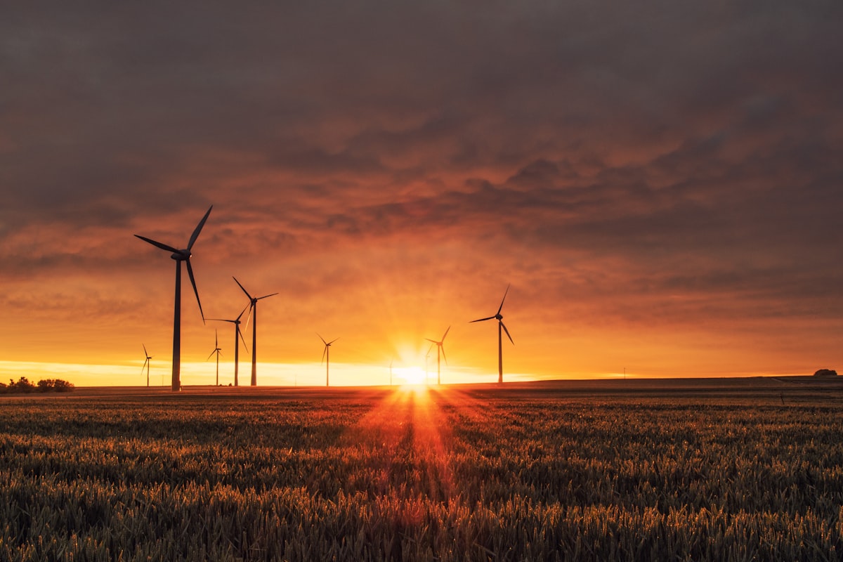Spain's role in renewable energy